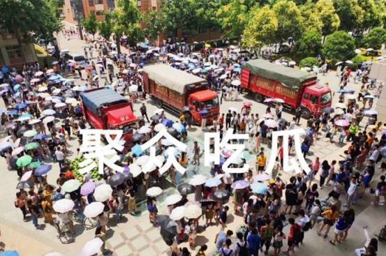 吃瓜娱乐学校,网红明星的摇篮与成长之路